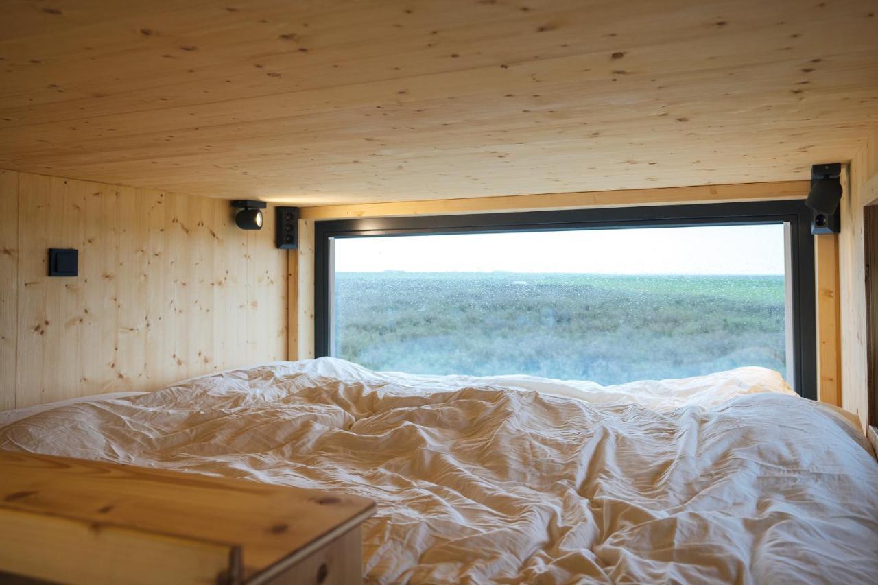 Tiny House Nature 2 Innenlage - Green Tiny Village Harlesiel 卡罗利嫩西尔 外观 照片
